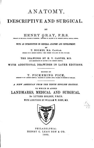 Tapa de Anatomy, descriptive and surgical