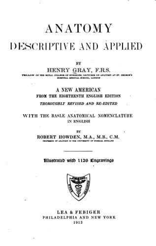 Tapa de Anatomy, descriptive and applied