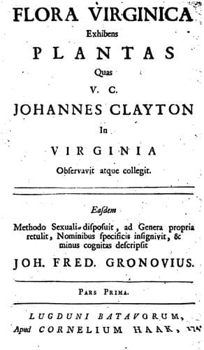 Tapa de Flora virginica
