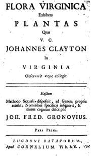 Tapa de Flora virginica