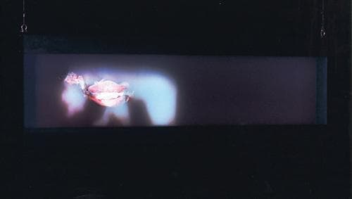 Tapa de Alain Pelletier