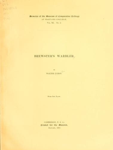 Tapa de Brewster's warbler