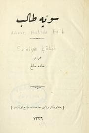 Tapa de Seviyye Talip
