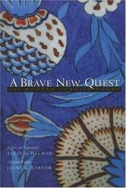 Tapa de A brave new quest