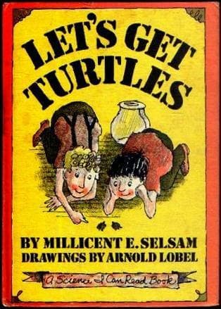 Tapa de Let's Get Turtles