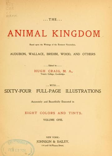 Tapa de The animal kingdom