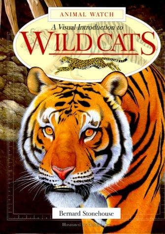 Tapa de A Visual Introduction to Wild Cats (Animal Watch)