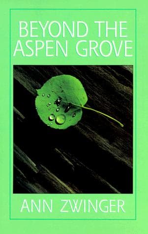 Tapa de Beyond the aspen grove