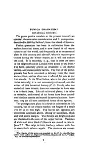 Tapa de Collection of reprints by John Uri Lloyd from the Western Druggist . no. 1-9, 1897-98