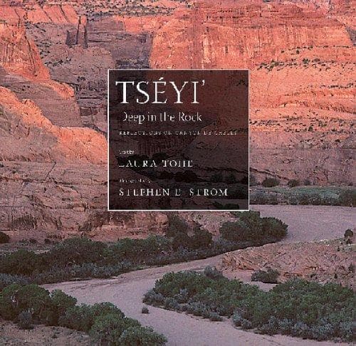 Tapa de Tséyi'