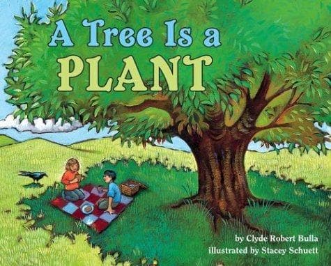 Tapa de A tree is a plant