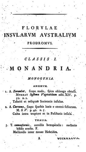 Tapa de Florulae insularum Australium prodromus