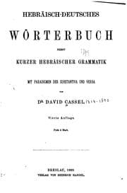 Tapa de Hebräisch-deutsches Wörterbuch, nebst kurzer hebräischer Grammatik; mit Paradigmen der ..