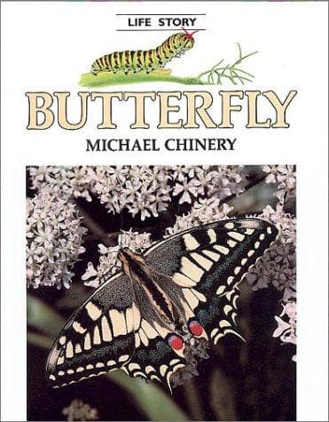 Tapa de Butterfly