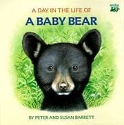 Tapa de A day in the life of a baby bear