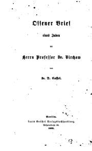 Tapa de Offener Brief eines Juden an Herrn Professor dr. Virchow