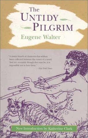 Tapa de The untidy pilgrim
