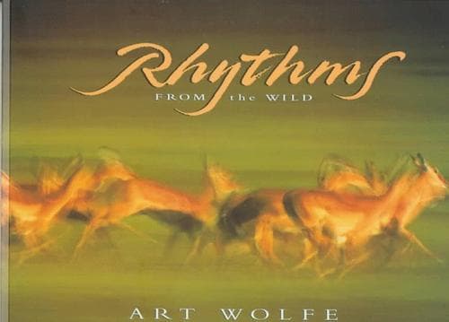 Tapa de Rhythms from the wild
