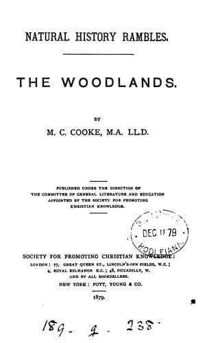 Tapa de The woodlands