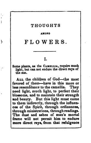 Tapa de Thoughts Among Flowers