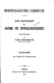 Tapa de Morphologisches Jahrbuch