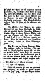 Tapa de Vollständige Anweisung schöne Rosen, desgleichen auch jede Rosenart theils einzeln, theils in ...