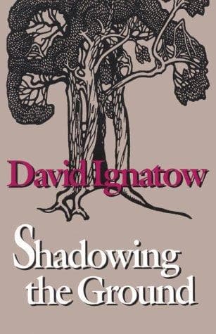 Tapa de Shadowing the ground