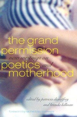 Tapa de The grand permission