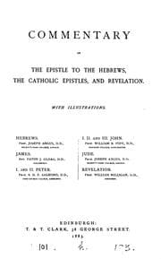 Tapa de A popular commentary on the New Testament, by English and American scholars, ed. by P. Schaff