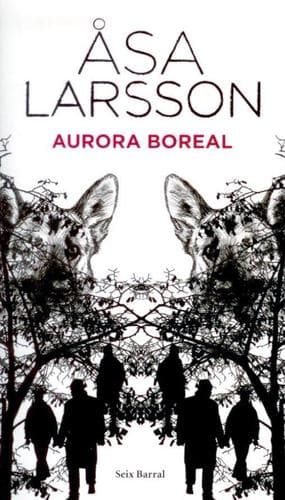 Tapa de Aurora Boreal