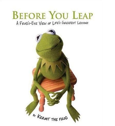 Tapa de Before You Leap