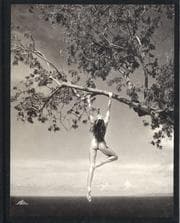 Tapa de Photographs