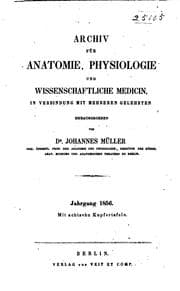 Tapa de Archiv für Anatomie, Physiologie und wissenschaftliche Medicin