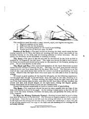 Tapa de Barne's National Vertical Penmanship. Nos. A-B, 1-6