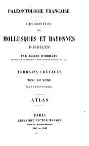 Tapa de Paléontologie Francaise description des mollusques et rayonnés fossiles