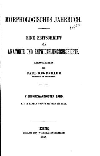 Tapa de Morphologisches Jahrbuch
