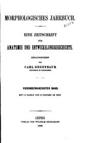 Tapa de Morphologisches Jahrbuch
