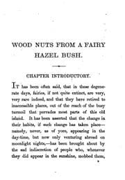Tapa de Wood nuts from a fairy hazel bush, cracked for little people