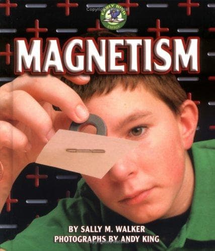 Tapa de Magnetism