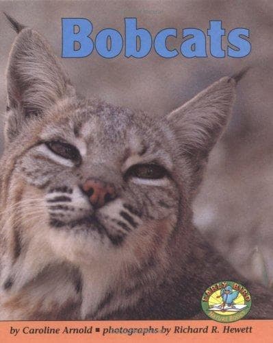 Tapa de Bobcats