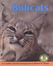 Tapa de Bobcats