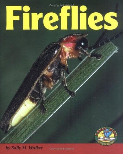Tapa de Fireflies