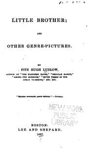 Tapa de Little Brother: And Other Genre-pictures