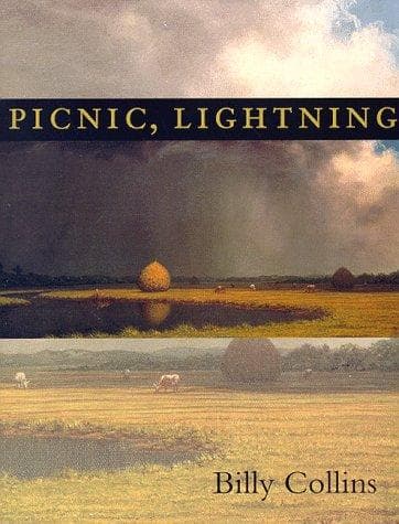 Tapa de Picnic, lightning