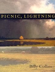 Tapa de Picnic, lightning