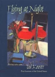 Tapa de Flying at night