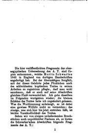 Tapa de Bruchstücke der oberaegyptischen Uebersetzung des alten Testamentes
