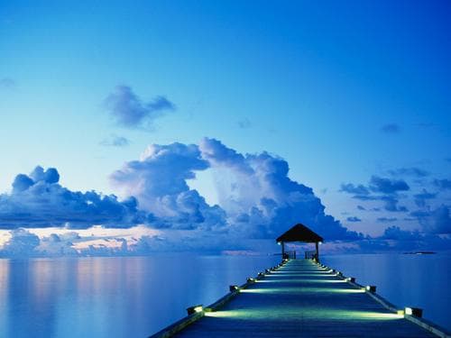 Tapa de Looking North for Health