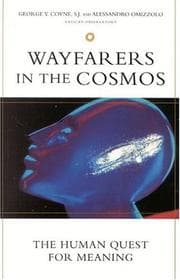 Tapa de Wayfarers In The Cosmos