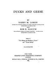 Tapa de Ducks and geese